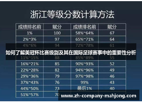 如何了解美冠杯比赛级别及其在国际足球赛事中的重要性分析