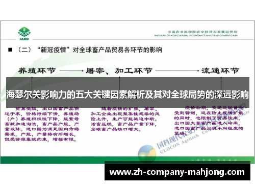 海瑟尔关影响力的五大关键因素解析及其对全球局势的深远影响