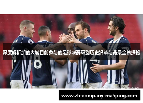 深度解析加的夫城目前参与的足球联赛级别历史沿革与背景全貌探秘