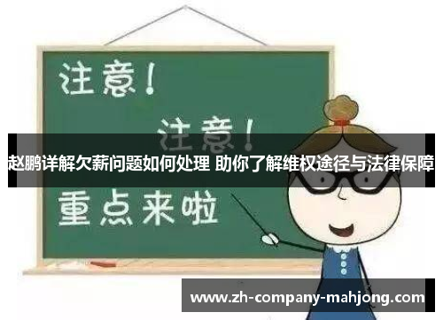 赵鹏详解欠薪问题如何处理 助你了解维权途径与法律保障 赵鹏详解欠薪问题如何处理 助你了解维权途径与法律保障